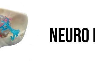 DA_2_NEURO-MODEL-1