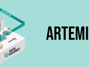 DA_3_ARTEMIS-3D-1
