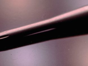 IMAGEN_1164X3524-1