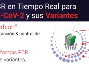 LiNEAR_ImagenN3_es