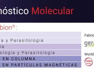 LiNEAR_ImagenN4_es