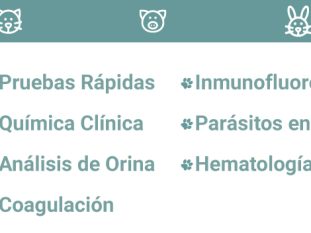 LiNEAR_ImagenN5_es